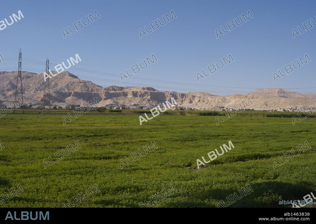 AGRICULTURA. EGIPTO. Zona de cultivos en la orilla oeste de Luxor, regadas por el agua del río Nilo. Al fondo destaca la zona árida. Norte de Africa.