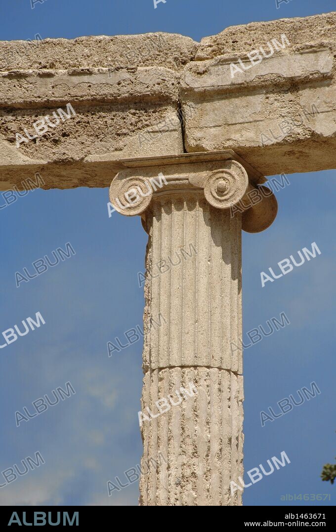 ARTE GRIEGO. S. IV a. C. GRECIA. FILIPEION. Edificio circular con 18 columnas jónicas en el exterior y 9 columnas corintias adosadas en el interior. Mandado construir por Filipo II de Macedonia en el año 338 a. C. tras la batalla de Queronea. Fue completado por Alejandro Magno. Detalle de una COLUMNA JONICA. Situado en el ALTIS. SANTUARIO DE OLIMPIA. Provincia de Ilía. Región del Peloponeso.