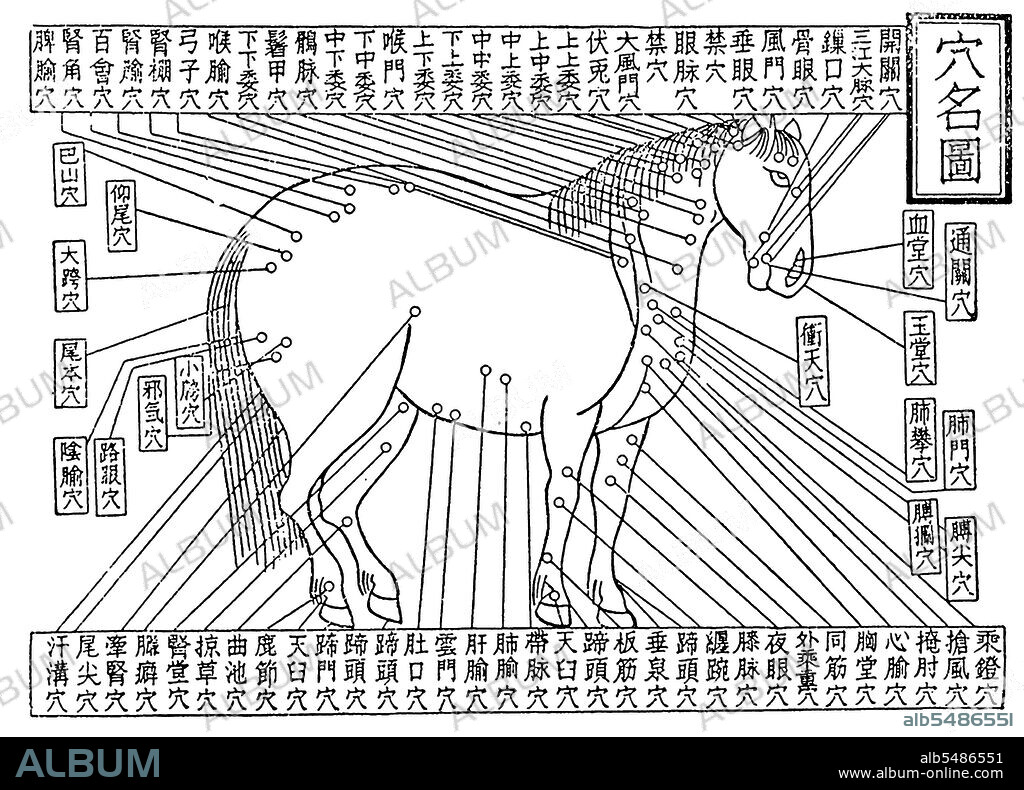Ferghana horses were one of China's earliest major imports, originating in an area in Central Asia. Dayuan, north of Bactria, was a nation centered in the Ferghana Valley of present-day Central Asia, and even as early as the Han Dynasty, China projected its military power to that area. The Han imperial regime required Ferghana horses and imported such great numbers of them that the rulers of Ferghana closed their borders to such trade. That move resulted in a war that China won. In 102 CE, the Chinese required of the defeated Ferghana that they provide at least 10 of their finest horses for breeding purposes, and 3,000 Ferghana horses of ordinary quality.