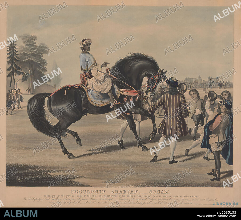 Racing: (1) Godolphin Arabian - 'Scham', James R. Mackrell, (Mackerell), c.18151846, after Francis Calcraft Turner, active 17821846, British, 1842, Aquatint, hand-colored, Sheet: 16 3/4 x 20 7/8in. (42.5 x 53cm).