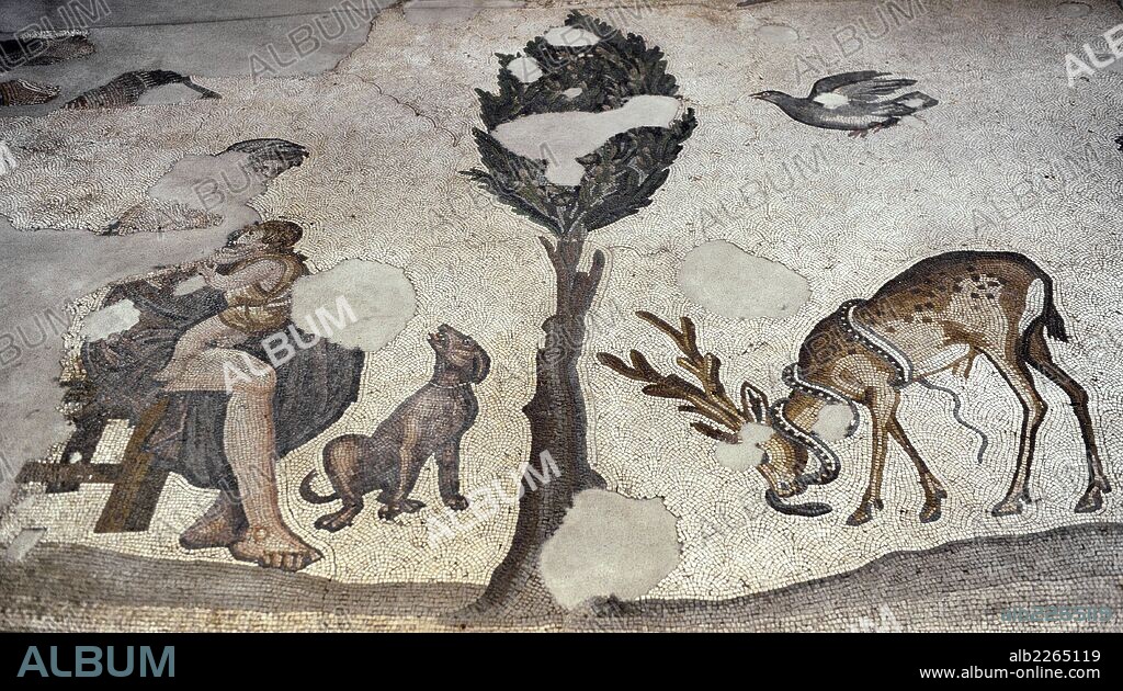 ARTE ROMANO. IMPERIO DE ORIENTE. TURQUIA. Detalle de uno de los mosaicos que decoraban los pavimentos del antiguo Palacio del Imperio Bizantino construido por orden de Constantino (s. IV), llamado el Gran Palacio Imperial.. Fechado entre los siglos IV-VI. MUSEO DE LOS MOSAICOS (MOZAIK MÜZESI). Estambul. Turquía.