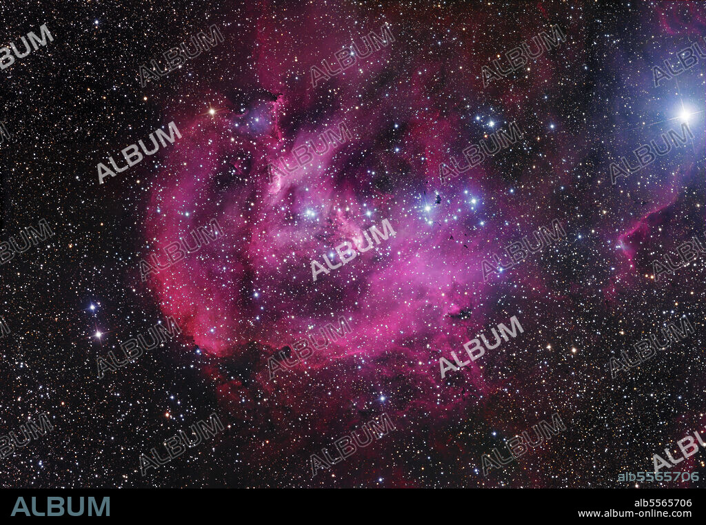 IC 2944, also known as the Running Chicken Nebula or the Lambda Cen Nebula, is an open cluster with an associated emission nebula found in the constellation Centaurus. IC2944 is a large HII region (star forming cloud) in the southern constellation of Centaurus. The bright blue star in the upper right is Lambda Centauri, one of the brightest stars in the southern sky.The cluster of hot blue stars to the right of center are illuminating the gases of IC2944 and causing it to glow in the red and magenta light of excited hydrogen. The compact black objects adjacent to the bright blue stars are called Thackeray's Globules.