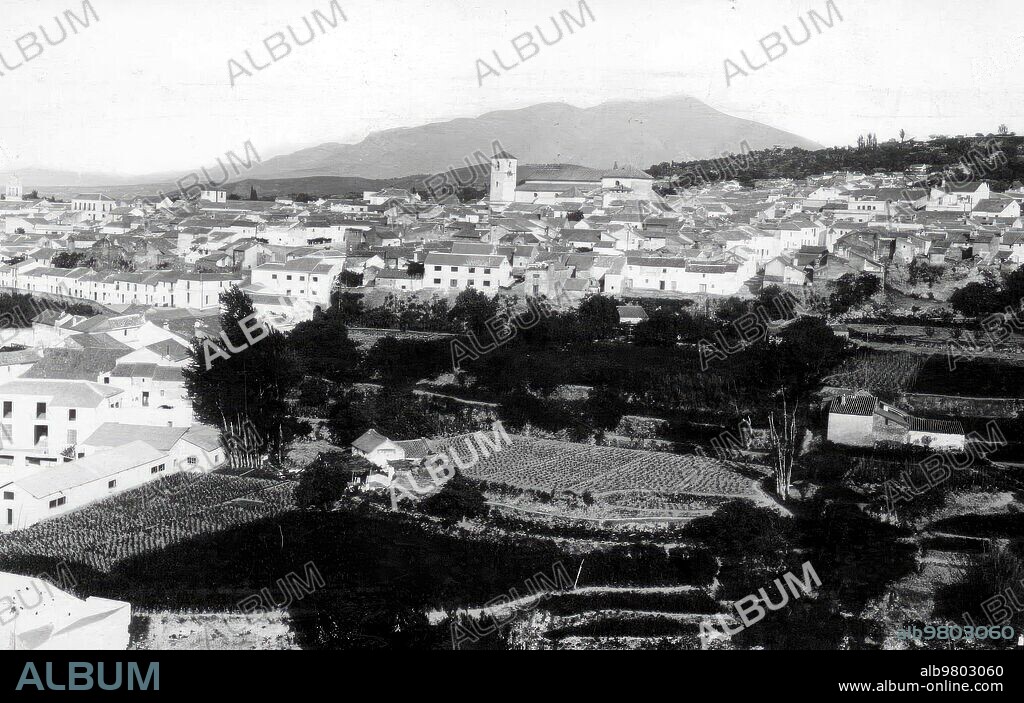 1930. Vista general del pueblo de Coín (Málaga).