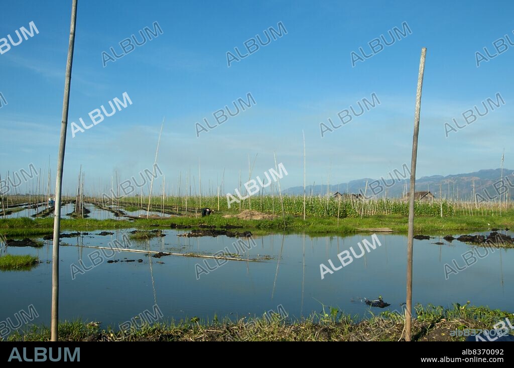 Inle Lake is a freshwater lake located in the Nyaungshwe Township of Taunggyi District of Shan State, part of Shan Hills in Myanmar (Burma). It is the second largest lake in Myanmar with an estimated surface area of 44.9 square miles (116 km2), and one of the highest at an altitude of 2,900 feet (880 m).<br/><br/>. The people of Inle Lake (called Intha), some 70,000 of them, live in four cities bordering the lake, in numerous small villages along the lake's shores, and on the lake itself. The entire lake area is in Nyaung Shwe township. The population consists predominantly of Intha, with a mix of other Shan, Taungyo, Pa-O (Taungthu), Danu, Kayah, Danaw and Bamar ethnicities. Most are devout Buddhists, and live in simple houses of wood and woven bamboo on stilts; they are largely self-sufficient farmers.<br/><br/>. Most transportation on the lake is traditionally by small boats, or by somewhat larger boats fitted with single cylinder inboard diesel engines. Local fishermen are known for practicing a distinctive rowing style which involves standing at the stern on one leg and wrapping the other leg around the oar. This unique style evolved for the reason that the lake is covered by reeds and floating plants making it difficult to see above them while sitting. Standing provides the rower with a view beyond the reeds. However, the leg rowing style is only practiced by the men. Women row in the customary style, using the oar with their hands, sitting cross legged at the stern.<br/><br/>. The Inle lake area is renowned for its weaving industry. The Shan-bags, used daily by many Burmese as a tote-bag, are produced in large quantities here. Silk-weaving is another very important industry, producing high-quality hand-woven silk fabrics of distinctive design called Inle longyi. A unique fabric from the lotus plant fibers is produced only at Inle lake and is used for weaving special robes for Buddha images called <i>kya thingahn</i> or 'lotus robe'.