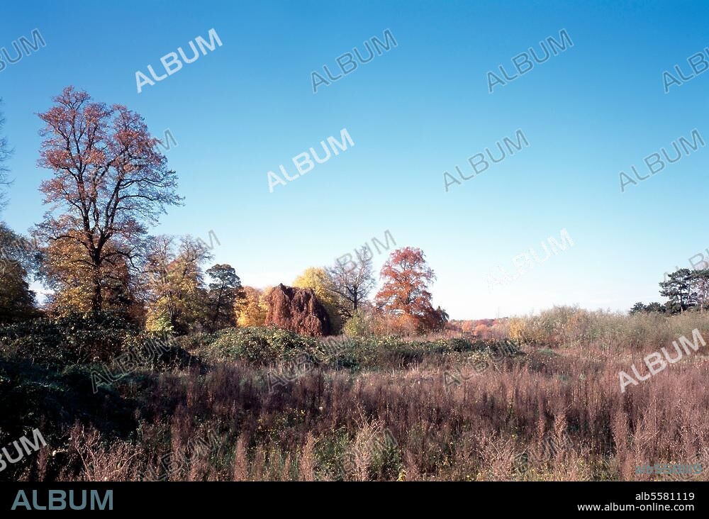 Meerbusch-Büderich, Haus Meer, Verwilderter Landschaftsgarten von Joseph Clemens Weyhe © Florian Monheim Filmsize: 6 × 9 cm.