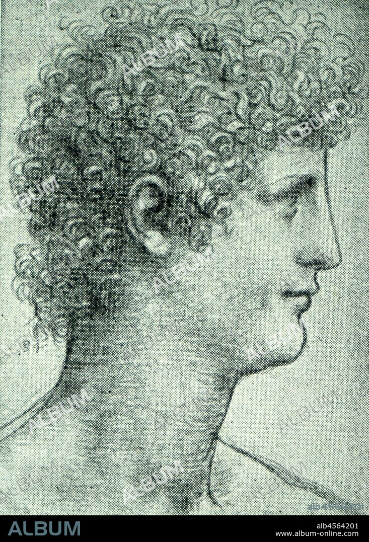 Portrait of Salai by Leonardo da Vinci. Leonardo di ser Piero da Vinci (1452-1519) an Italian polymath of the Renaissance.