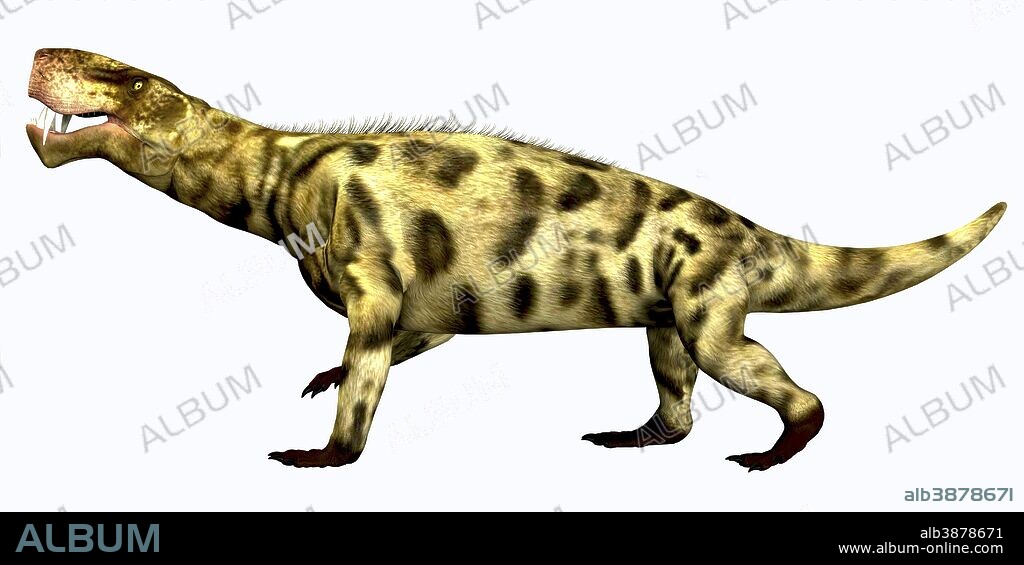 Inostrancevia was a carnivorous reptile that lived during the Permian Period of Russia.