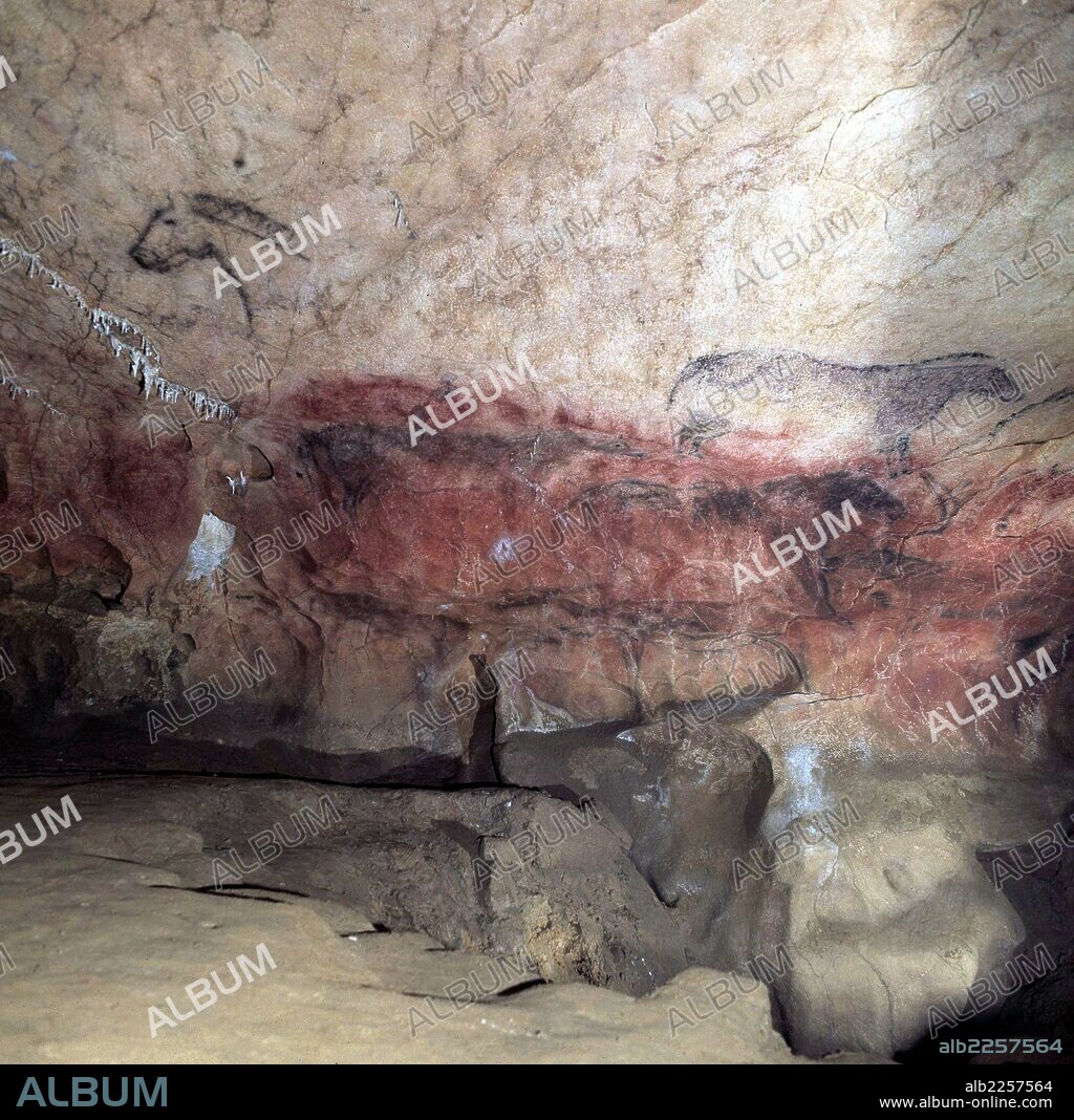 ARTE RUPESTRE. PINTURA. CUEVA DE TITO BUSTILLO EN RIBADESELLA. ASTURIAS. GRAN PANEL.