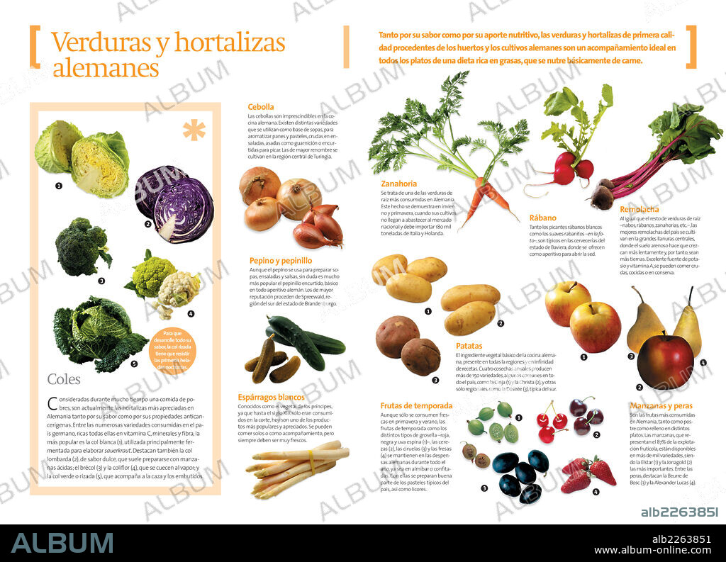 Verduras y hortalizas alemanas. Infografías sobre las variedades de hortalizas, verduras y frutas que se consumen en Alemania como acompañamiento de la carne.