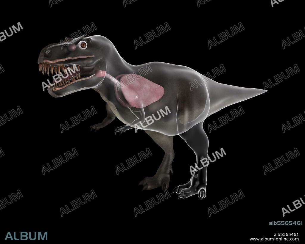 洋楽 Tyrannosaurus Rex 2LP 洋楽 Tyrannosaurus Rex 2LP T-Rex / Tyrannosaurus Rex New
