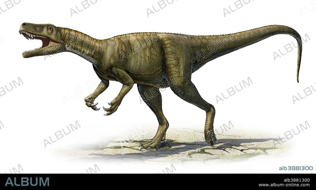 Herrerasaurus ischigualastensis, a prehistoric era dinosaur from the Triassic period.