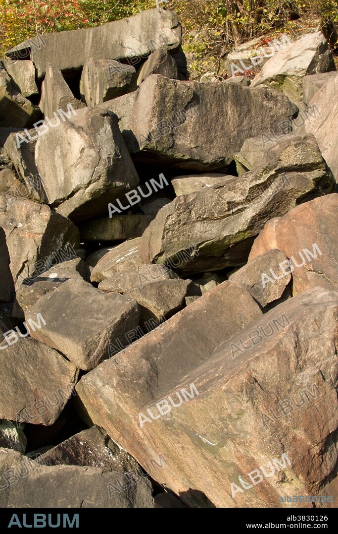 Talus slope, habitat of the Allegheny woodrat (Neotoma magister). A talus slope is formed when debris from a weathering rock piles up to a certain angle of repose. They are usually found at the base of a very steep hill or under a cliff.