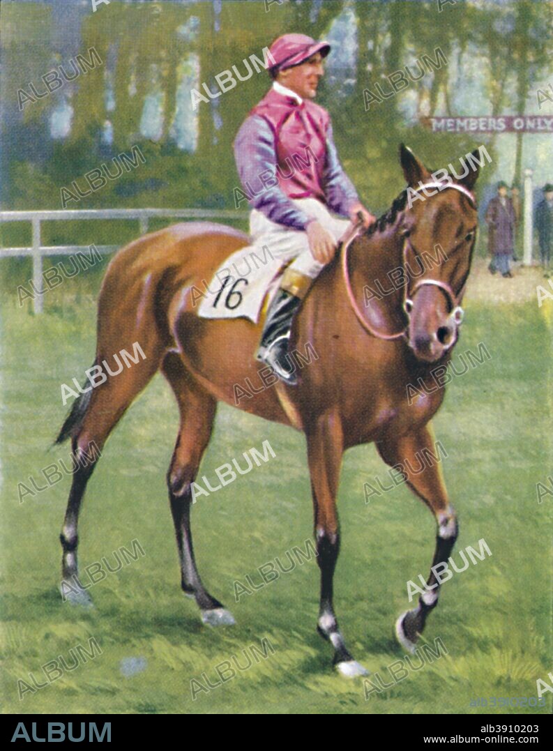 Zoltan, Jockey: M. Beary', 1939. In the spring of 1938 Zoltan ridden by Michael Beary won the Esher Cup at Sandown Park. From Racehorses & Jockeys, 1938 - A Series of 40. [W. D. & H. O. Wills, Bristol, 1939].