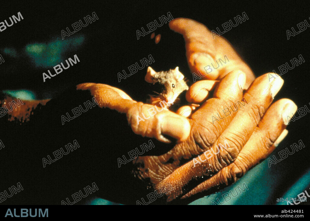 LA MILLA VERDE, 1999 (THE GREEN MILE), dirigida por FRANK DARABONT. Copyright CASTLE ROCK ENTERTAINMENT.