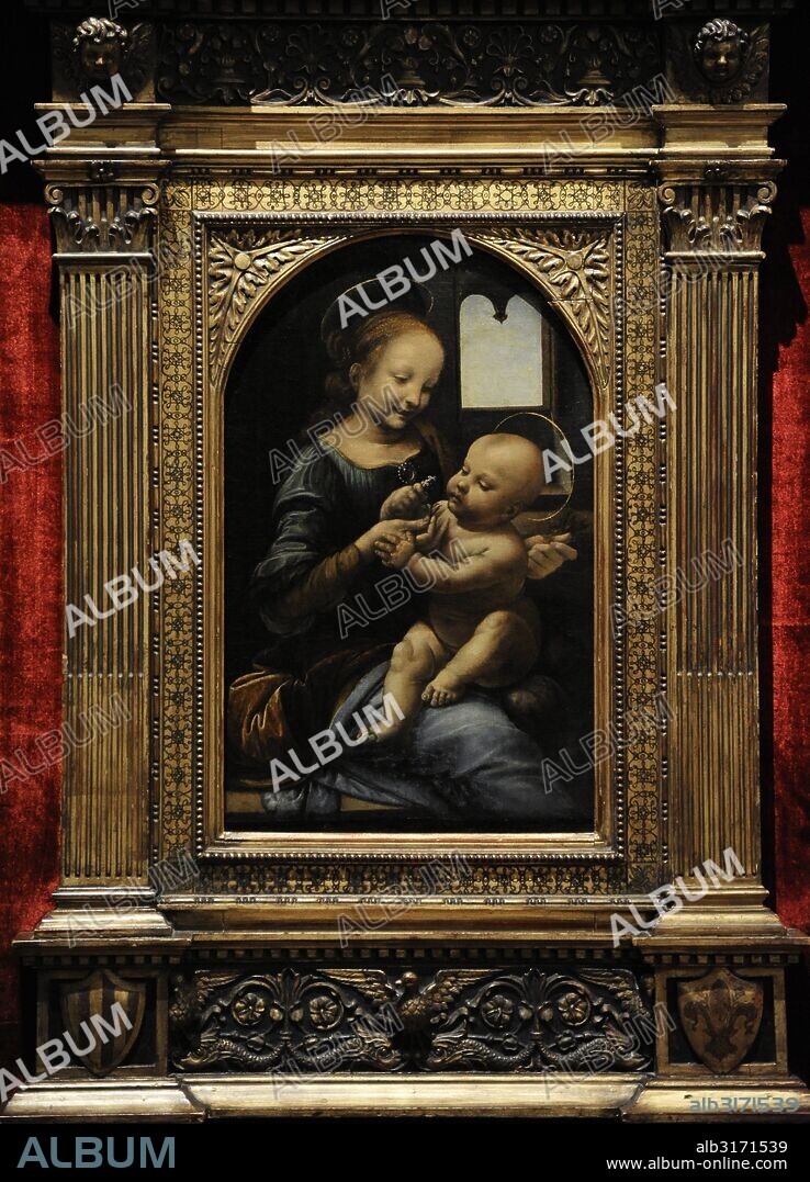 Leonardo da Vinci (1452-1519). Pintor, arquitecto, escultor e ingeniero italiano. Madonna Benois, 1478-1480. Museo del Hermitage (The State Hermitage Museum). San Petersburgo. Rusia.