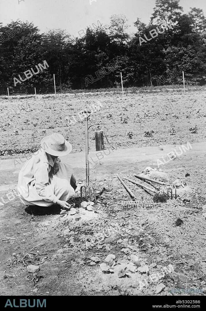 National Women's Defense League Camp Gardener.