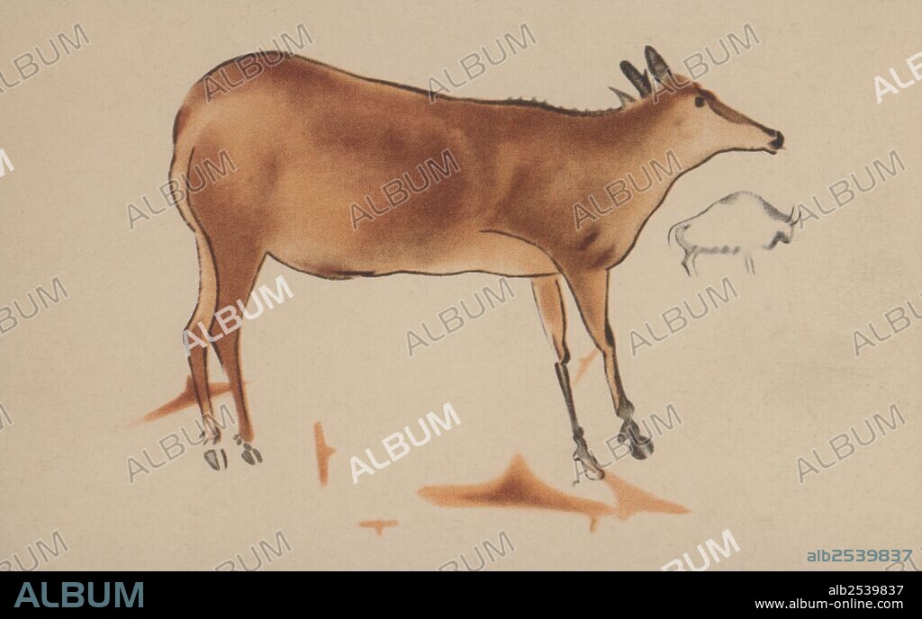 Ilustración de una pintura rupestre de las cuevas de Altamira (Cantabria). Una cierva grande y un bisonte pequeño. Años 1940.