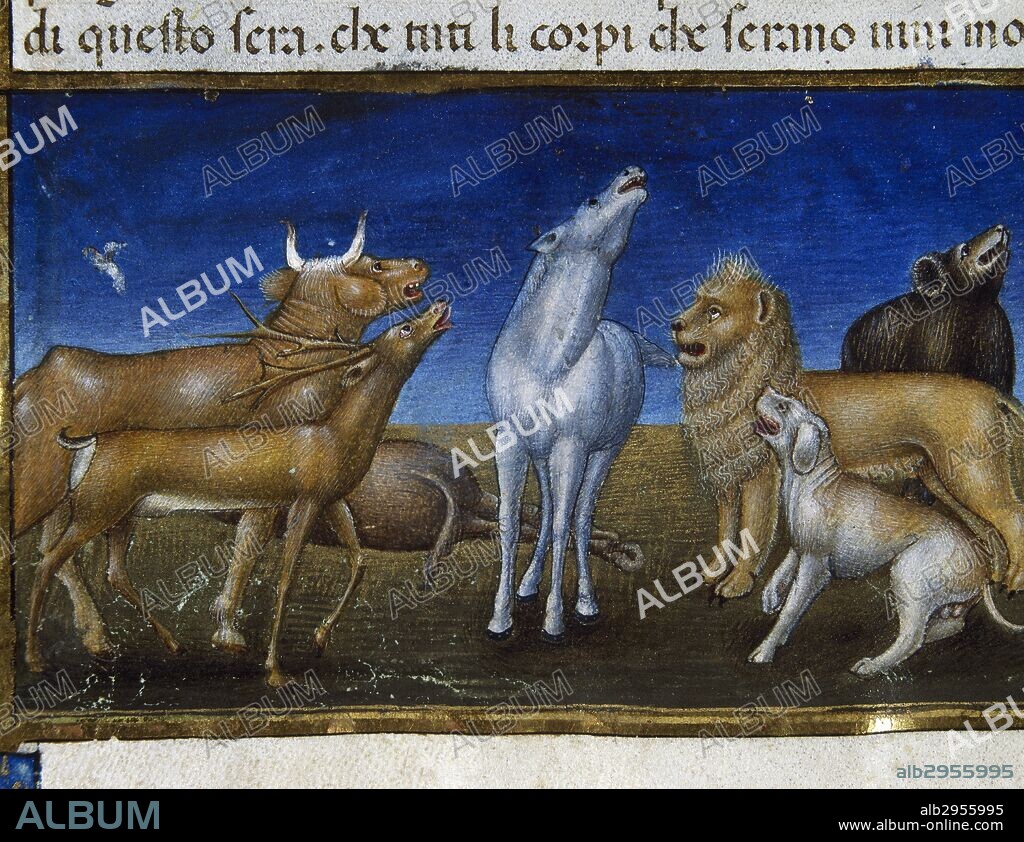 NUEVO TESTAMENTO. "EL FIN DEL MUNDO Y EL JUICIO UNIVERSAL: LAS ESTRELLAS CAERAN DEL CIELO Y TODOS LOS ANIMALES TENDRAN MIEDO" (12º tiempo). Página miniada del CODICE DE PREDIS (1476). Renacimiento-Quattrocento (siglo XV). Biblioteca Real. Turín. Italia.