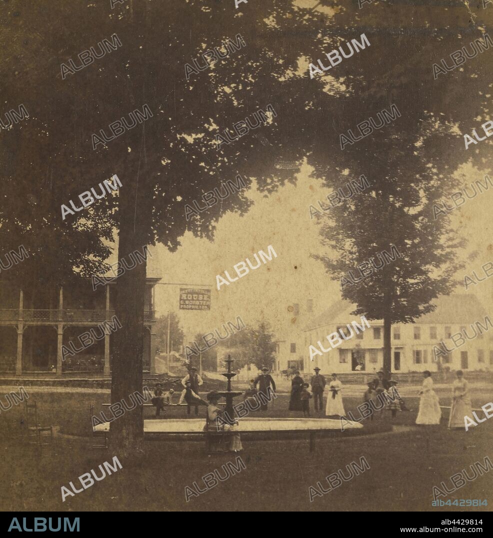 Fountain from Main Street, Newfane, Vermont, six miles south of Townshend.Lucius H. Cathan (American, active 1860s), about 1860, Albumen silver print.