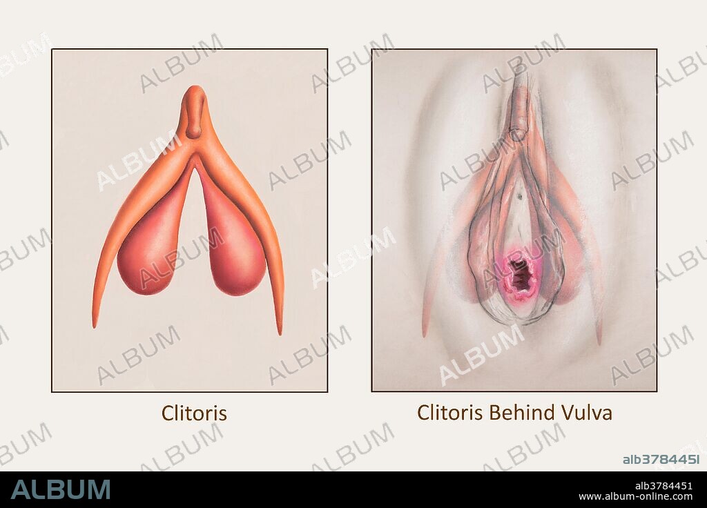 Kinoda onlayn seks videolar