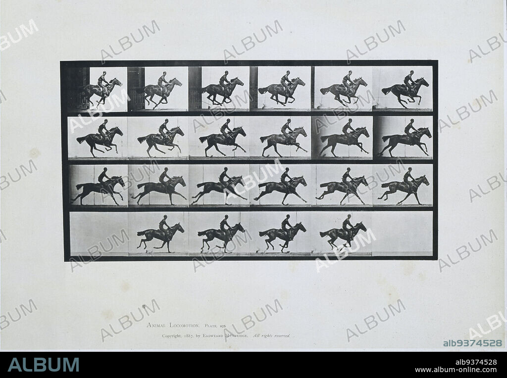 Bouquet', Galloping'Gallop; Thoroughbred Bay Horse, Bouquet', Eadweard Muybridge (mentioned on object), 1887, paper, collotype, height 480 mm × width 613 mmheight 198 mm × width 370 mm.