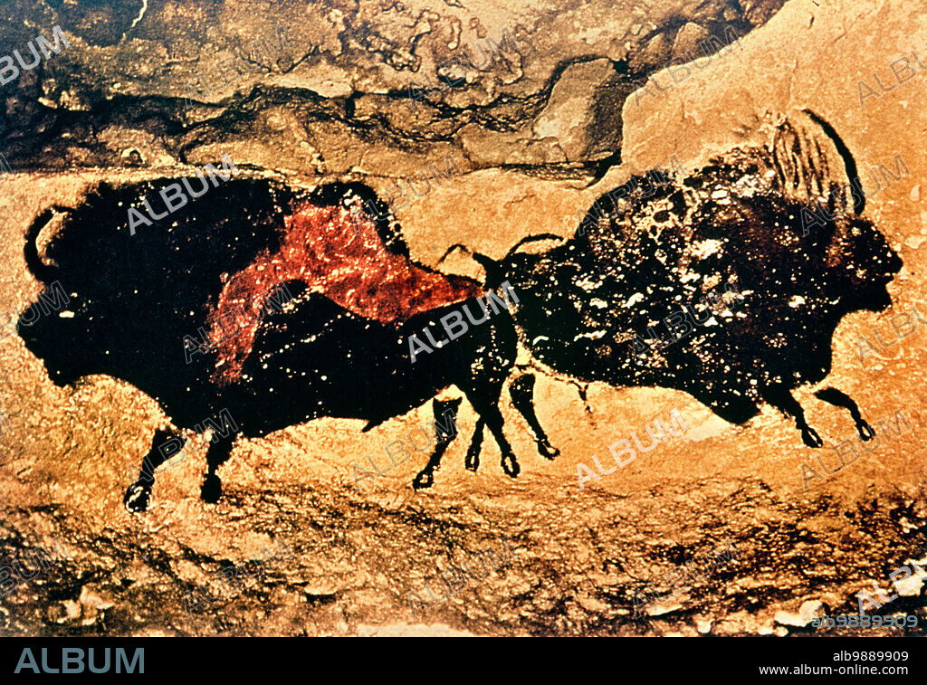 Cave painting of bison, Caves of Lascaux, Dordogne, c.17000 BC (mural) prehistoric mural