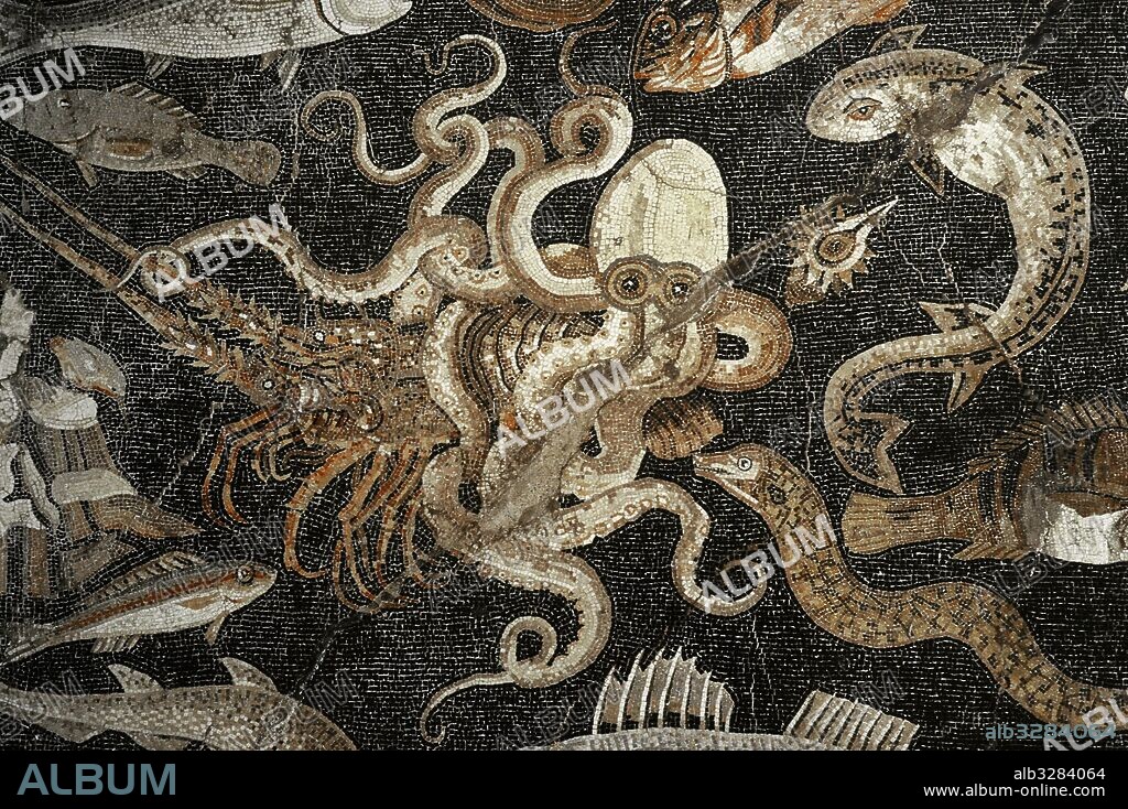Mosaico romano. Fauna marina. Procedente de la villa señorial de Lucius Aelius Magnus. Siglo I a. C. Pompeya, Italia. Museo Arqueológico Nacional. Nápoles. Italia.