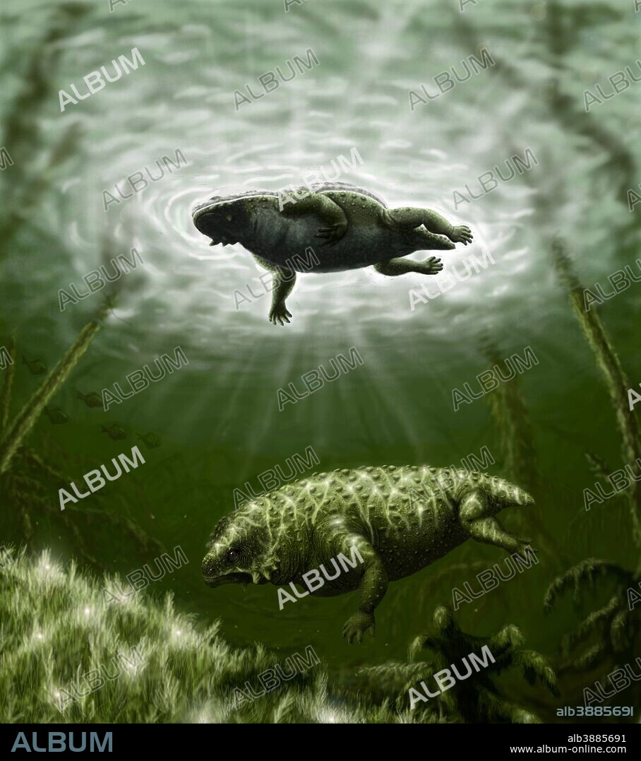 Scutosaurus karpinskii in prehistoric waters.