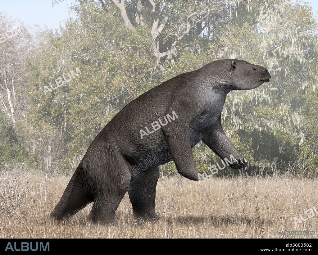 Megatherium americanum from the Pleistocene epoch of South America.