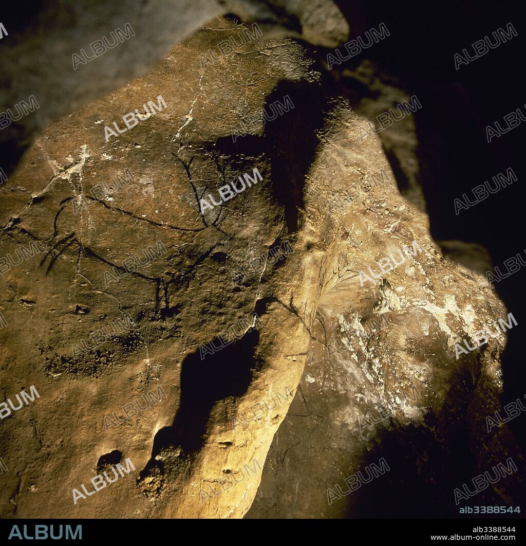 Prehistoria. Paleolítico Superior. Solutrense. Cueva de Las Chimeneas. Su cronología se sitúa en el Magdaleniense Inferior (15.000-14.000 años). Pintura rupestre. Ciervo macho pintado en negro sobre borde rocoso. Pertenece al conjunto de cuevas prehistóricas del Pico del Castillo. Puente Viesgo. Cantabria. España.