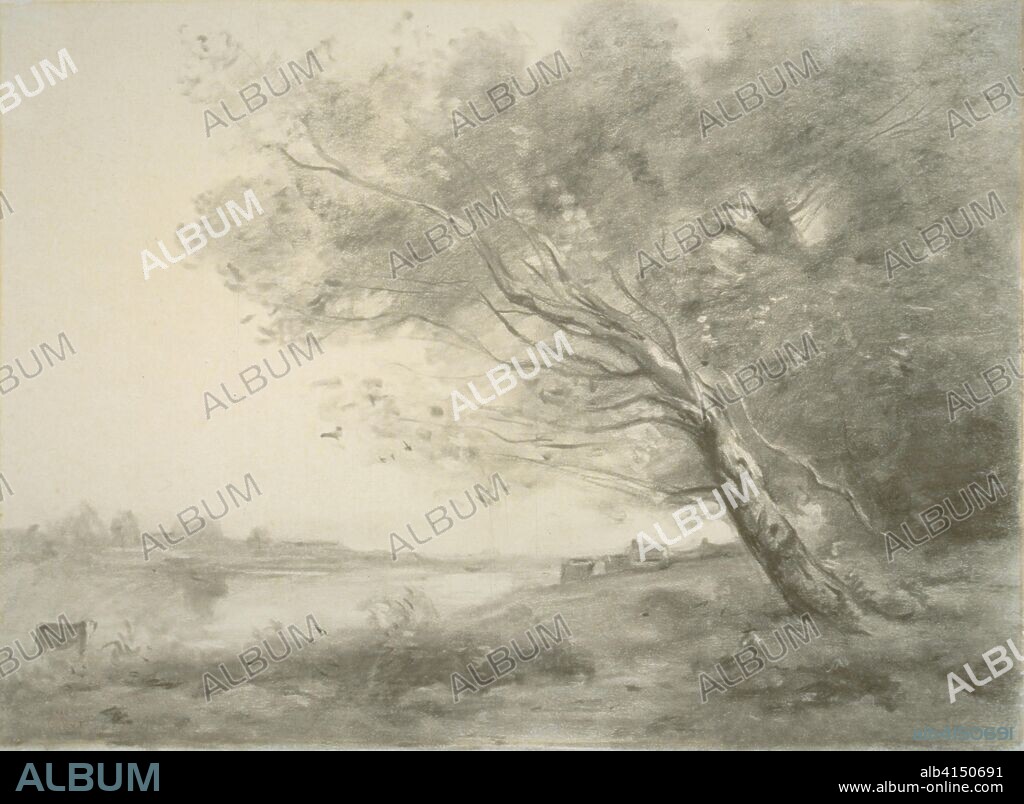 JEAN BAPTISTE CAMILLE COROT. Bent Tree by the Water. Jean-Baptiste-Camille Corot; French, 1796-1875. Date: 1860-1870. Dimensions: 454 × 552 mm. Charcoal, with stumping and erasing, on cream wove paper, laid down on cream board. Origin: France.