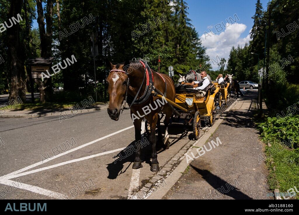 carruajes de caballos, Zakopane, voivodato de la Pequeña Polonia, Cárpatos,  Polonia, europe.