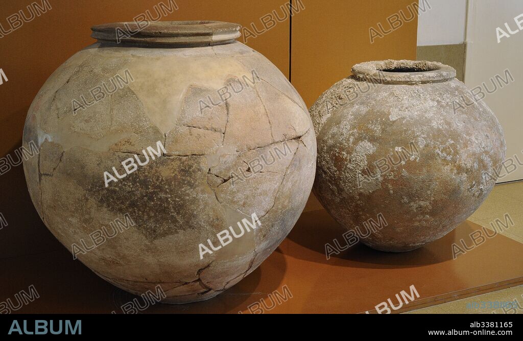 Dolium (recipiente para almacenar grano). Museo Nacional Arqueológico. Tarragona. Cataluña. España. Dolium. Large earthenware vase used for storage or transportation of goods. National Archaeological Museum. Tarragona. Catalonia, Spain.