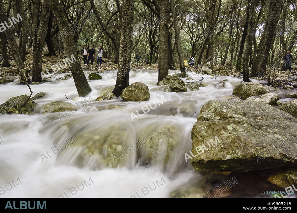 Fonts Ufanes, monumento natural protegido,finca publica Gabelli Petit,Campanet, Mallorca, islas baleares, Spain.