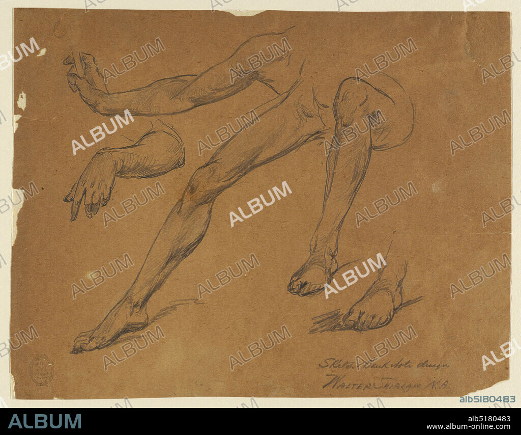 Sketch for Bank Note Design, Walter Shirlaw, American, b. Scotland, 18381909, Graphite on brown paper, Studies of the limbs of a nude figure. Shown are the right arm holding something in the hand, the left forearm and hand, both legs, and left foot., USA, ca. 1895, numismatics, Drawing, Drawing.