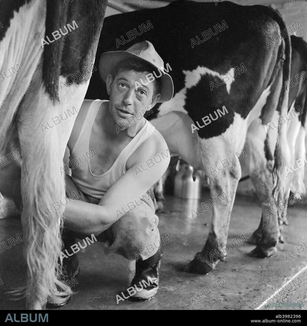 A man milking cows by hand in the milking parlour of Wood Farm, Toftwood, near Dereham, c1946-c1980.