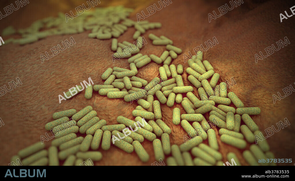 Computer artwork of Escherichia coli bacteria. E. coli is a rod-shaped bacterium (bacillus). Its cell membrane is covered in fine filaments call pili or fimbriae. Hair-like structures called flagella at the rear of each bacterium provide propulsion to make it move. E. coli is a normal component of the intestinal bacterial flora, but under certain conditions some strains can cause severe infections like gastroenteritis.
