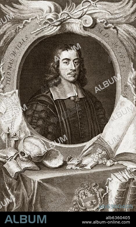 Willis, Thomas; engl. Mediziner; Great Bedwin (Wiltshire) 27.1.1621 - London. 11.11.1675. "THOMAS Willis (...) ". Kupferstich, 1742, von George Vertue. (1684-1756) nach Gemälde, um 1666, von David Loggan (um 1633/35-1692). 48,5 × 30 cm.