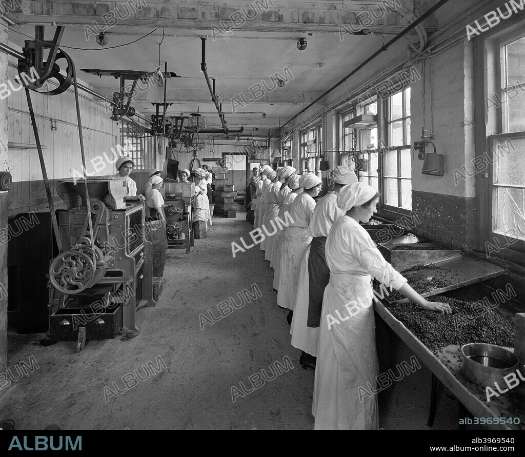Food production, J Lyons & Co Ltd, Cadby Hall food factory, Hammersmith Road, London, October 1918. One of a series of images of female workers involved in the production of Christmas puddings for troops fighting in the First World War.
