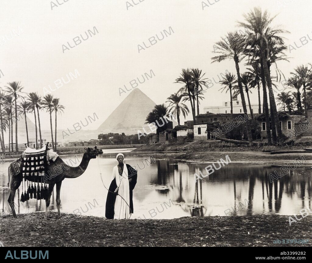 Cairo, Egypt:  c. 1917 A man and his camel at an oasis near Cairo with the pyramids of Giza in the background.
