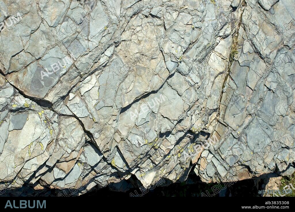 Surface fracture pattern of thinly laminated argillite, a hardened siltstone or shale made of clay, silt, and incompletely oxidized ferrous oxide minerals, found along the Hidden Lake trail in Glacier National Park.