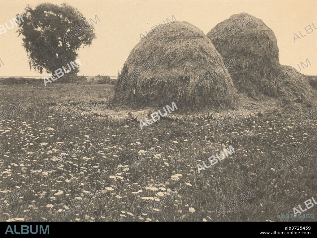 ARTHUR WESLEY DOW. Haystacks, Ipswich. Dated: c. 1894. Dimensions: image: 12.1 x 17.2 cm (4 3/4 x 6 3/4 in.)  sheet: 15.6 x 20.8 cm (6 1/8 x 8 3/16 in.). Medium: platinum print.
