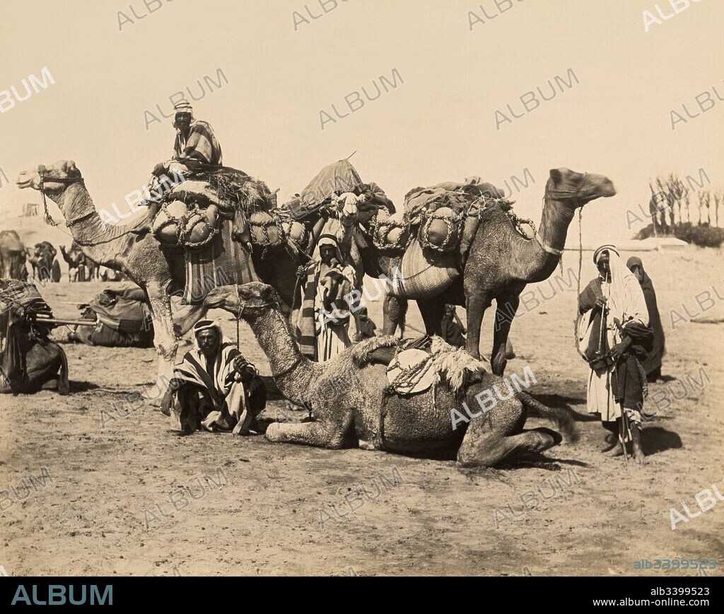 Egypt:  c. 1890 A camel caravan at the Suez Canal.