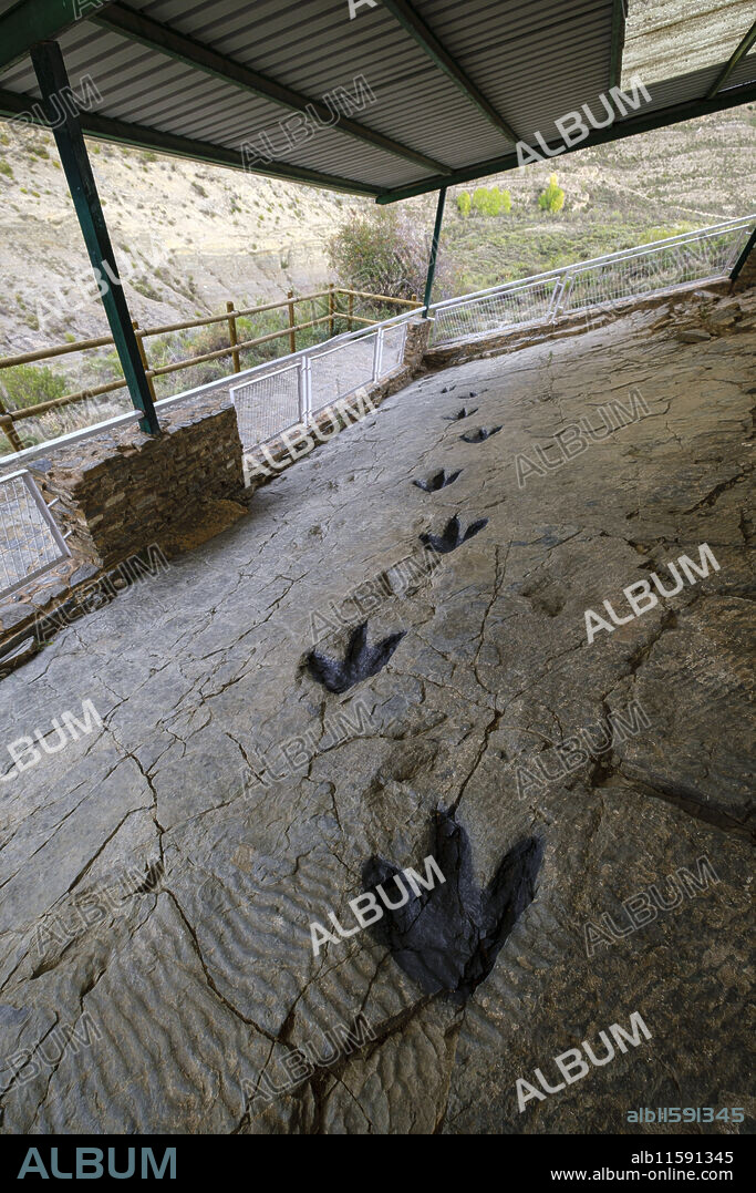 Dinosaur footprints, Los Cayos archaeological site, Cornago, La Rioja, Spain, Europe.