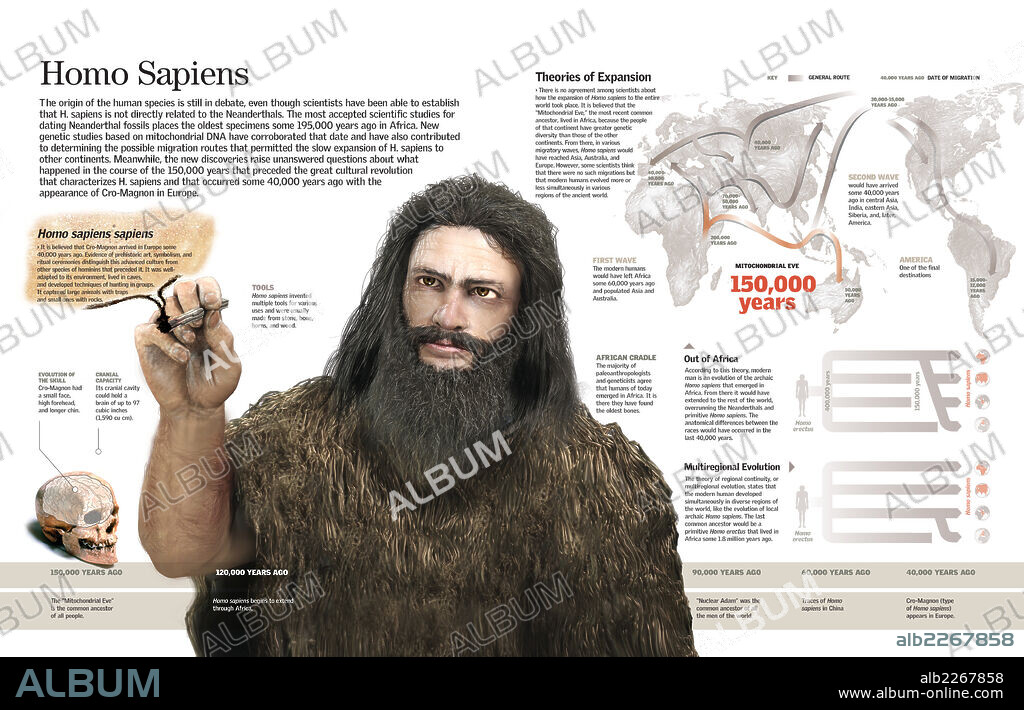 HOMO SAPIENS. Infografía del Homo sapiens sapiens y de su expansión en el mundo.