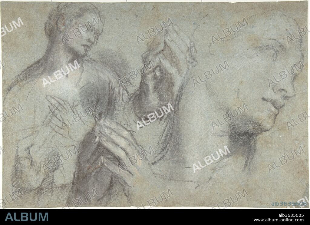 FEDERICO BAROCCIO. Studies of a Man's Head and of His Hands. Artist: Federico Barocci (Italian, Urbino ca. 1535-1612 Urbino). Dimensions: 11 x 16-1/4 in.  (28 x 41.3 cm). Date: 1592-99.
These large studies of heads and hands, broadly modeled in colored chalks, were preparatory for the figure of an apostle seated at the table near Christ in Barocci's monumental canvas The Last Supper. The painting was an important commission by Guidobaldo II Della Rovere, Duke of Urbino and Pesaro, and was executed by Barocci between 1592 and 1599 for the Chapel of the Holy Sacrament in the Urbino Cathedral, where it still hangs. Here, the use of black, white, and peach chalks on blue paper and the sculptural quality of the forms are typical of the artist, who was among the most prolific draftsmen of all time. The Last Supper was one of Barocci's last paintings, for which he produced more than fifty drawings, a fact that attests to the meticulous care of his creative process.