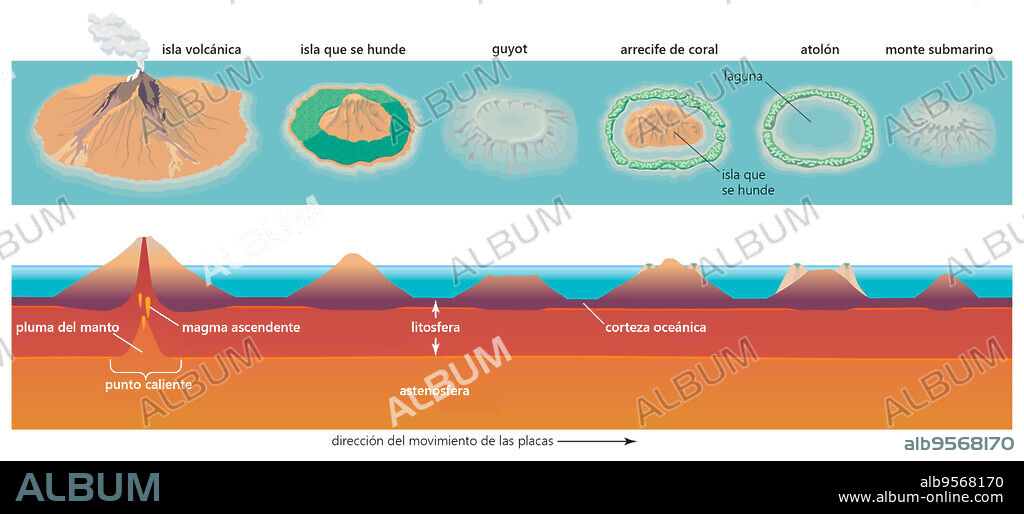 Diagram depicting the process of atoll formation. Atolls are formed from the remnant parts of sinking volcanic islands.