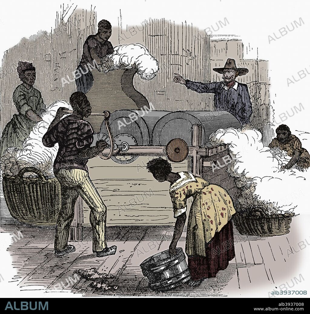 Slave labour on a cotton plantation in the southern states of America, 1860. Putting cotton bolls through a whipping press before putting the cotton through a saw gin. (Colorised black and white print).