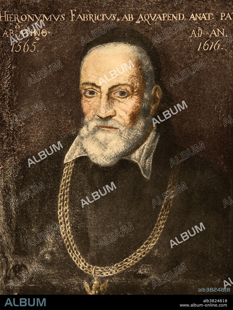 Italian anatomist Hieronymus Fabricius (1537-1619), also known as Girolamo Fabrici, Fabrizo d'Acquapendente, Geronimo Fabrizio, and Fabricius Ab Acquapendente. Born in Acquapendente in Italy, Fabricius became a professor of anatomy and surgery in Padua. He is known as the father of embryology.