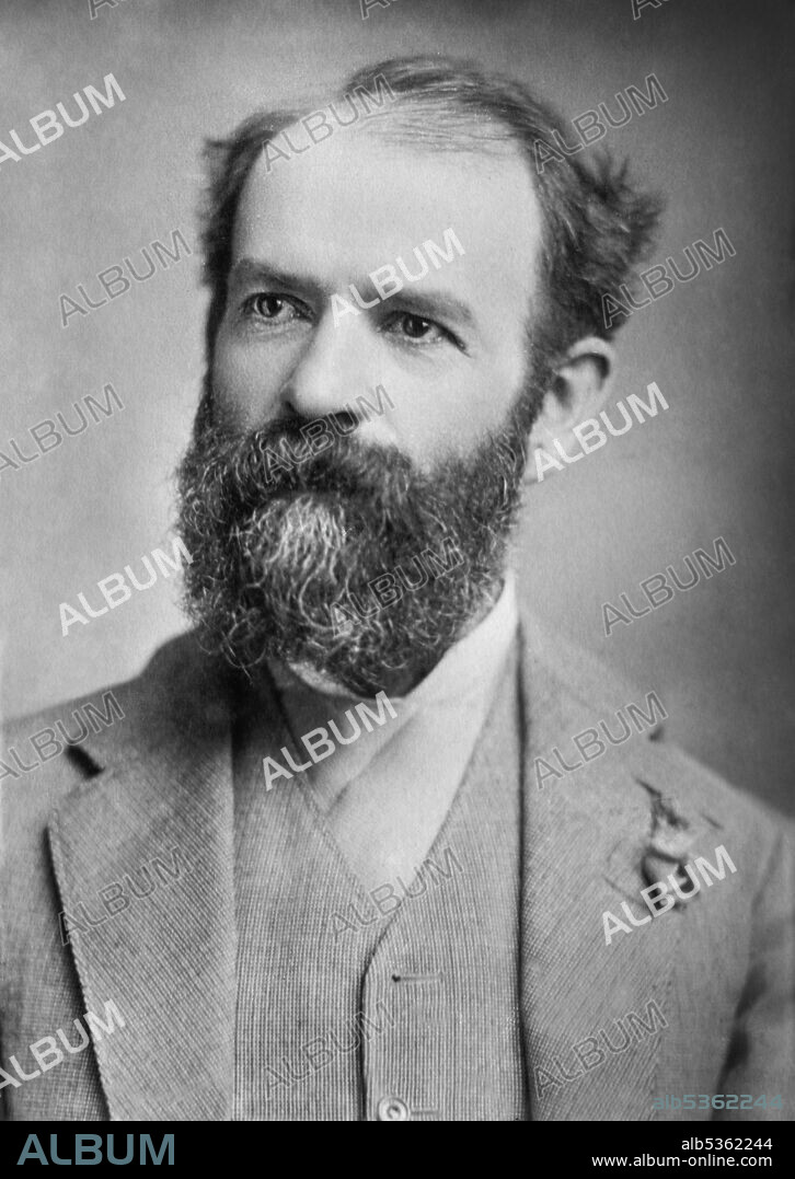 Jay Gould (1836-1892), American Railroad Magnate and Financier, and generally identified as one of the Robber Barons of the Gilded Age, Head and Shoulders Portrait, Bain News Service, 1880's.